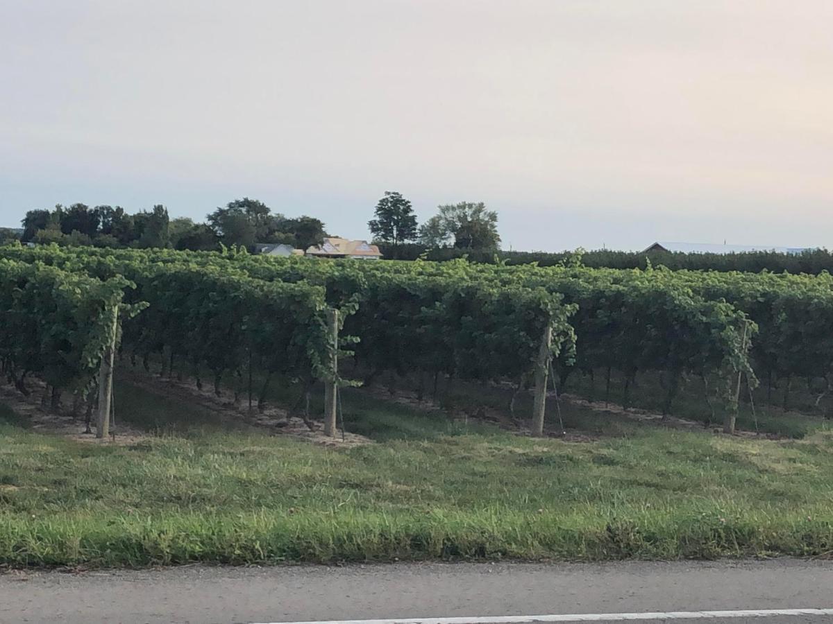Villa In The Vines 나이아가라온더레이크 외부 사진