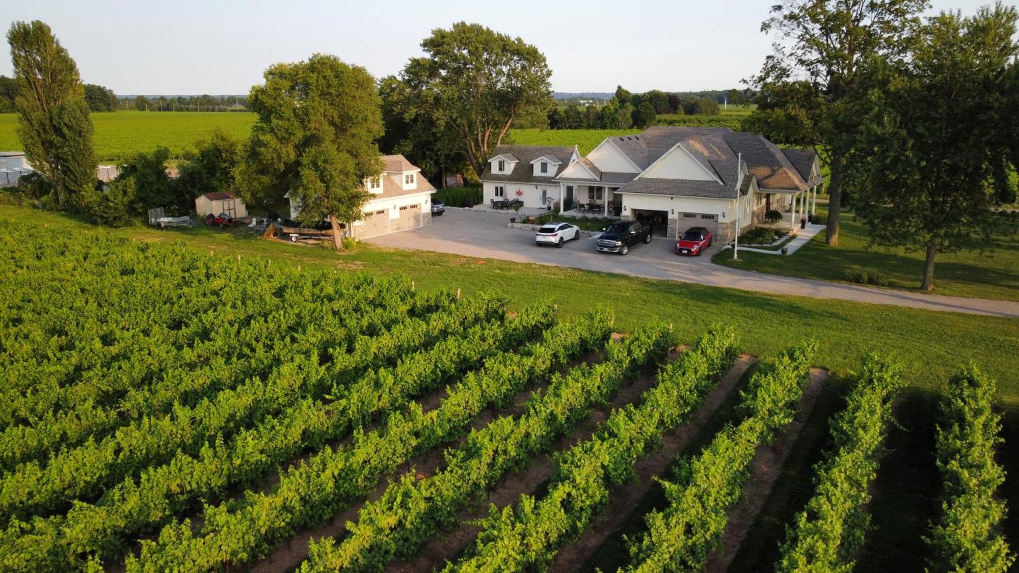 Villa In The Vines 나이아가라온더레이크 외부 사진